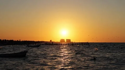 Sunset view of progreso beach with pelicans diving into water Stock Footage 304907739