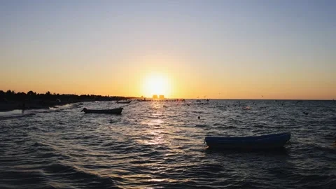 Sunset view of progreso beach with pelicans diving into water Stock Footage 304908030