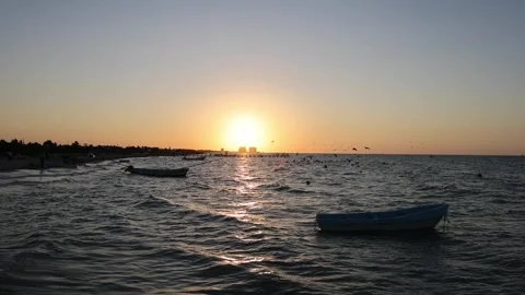 Sunset view of progreso beach with pelicans diving into water Stock Footage 304911636
