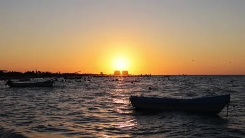 Sunset view of progreso beach with pelicans diving into water Stock Footage 304913002