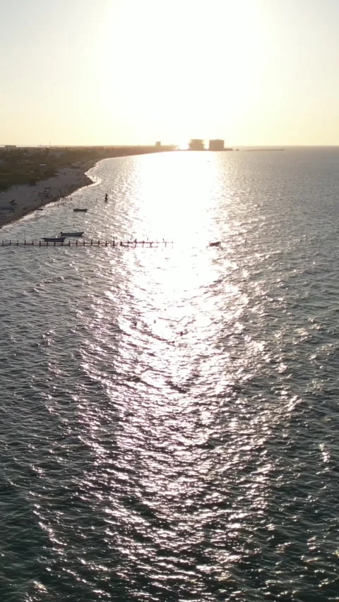 Sunset view of progreso beach with pelicans diving into water Stock Footage 304928188