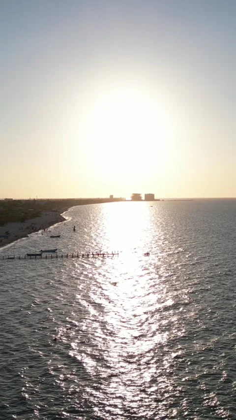 Sunset view of progreso beach with pelicans diving into water Stock Footage 304928558