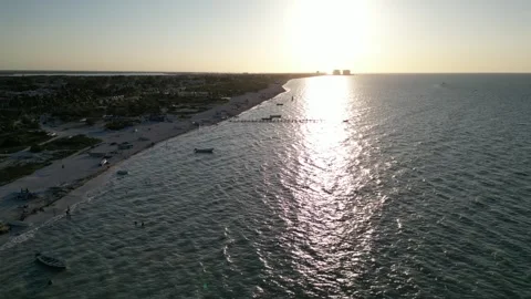 Sunset view of progreso beach with pelicans diving into water Stock Footage 304929640