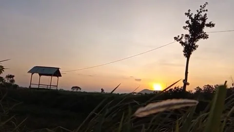 Sunset view in a rural area showing huts with trees Stock Footage 327539640
