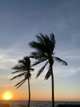 The sunset view with saffron sky 写真素材