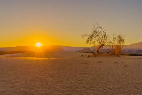 Sunset view of the Samar sand dunes, Arava desert Stock Photos