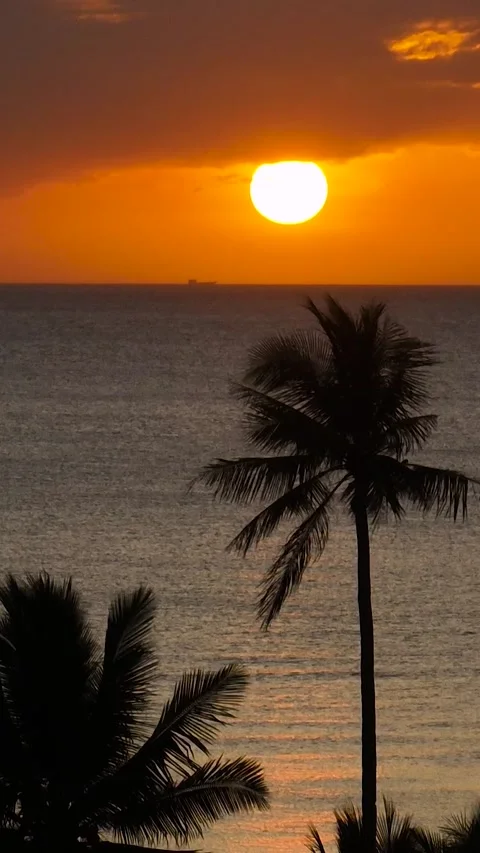 Sunset view in Santa Fe, Tablas, Romblon. Philippines. Stock Footage 343668267