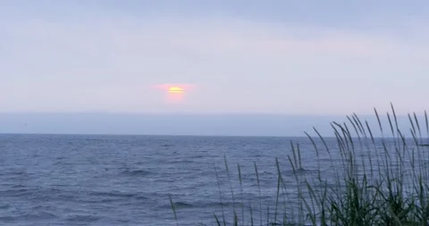 Sunset view of the sea through the grass on the shore Stock Footage 231219002