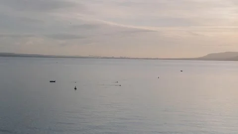 Sunset view with seal activity on calm bay in Northern Ireland Stock Footage 310240739