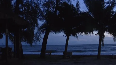 Sunset view at the shore with palms and silouettes of people Stock-Footage 126617287