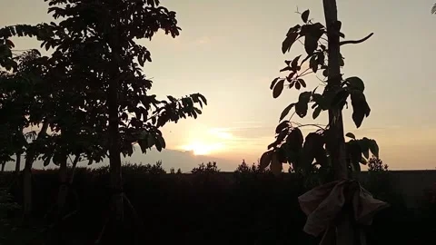 The sunset view is so beautiful Stock Footage 288154934