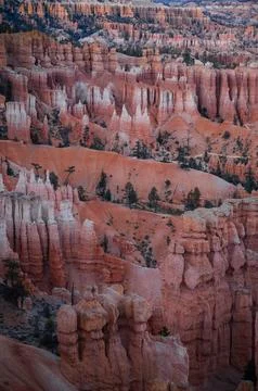 Sunset view of spires of Bryce Canyon National Park. travel landmark, tourism Stock Photos