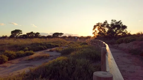 Sunset view from the Ter river marshes Stock Footage 141117712
