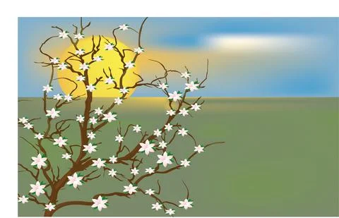 Sunset view through the flowering tree. Stock Illustration