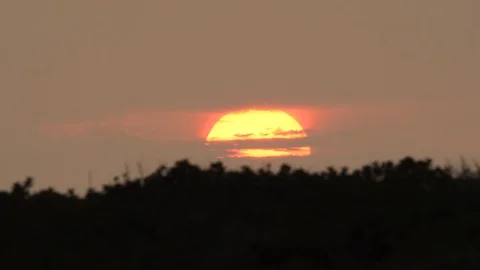 Sunset view through the forest 스톡 동영상 128848156