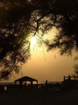 Sunset view through silhouettes of tree branches of a Tel Aviv sandy beach Stock-Fotos