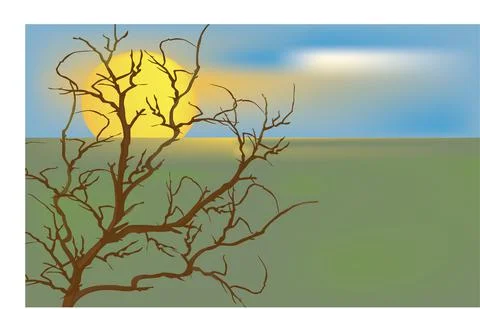 Sunset view through the tree Stock Illustration