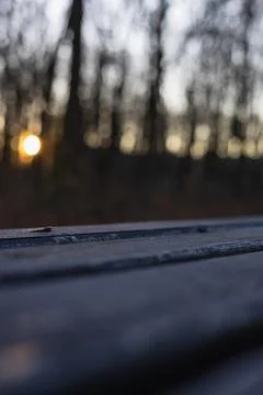 Sunset view through trees near wooden table in the evening Stock Photos