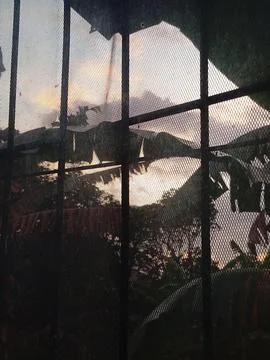 Sunset View Through Window Screen with Tropical Leaves Foto stock