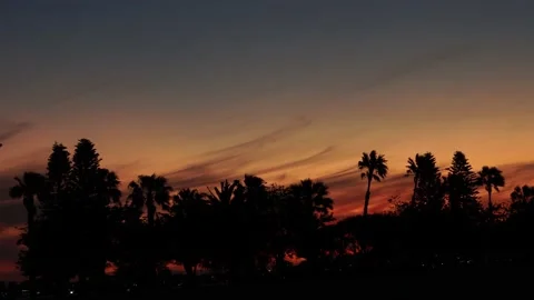 Sunset View of Tree Line in Perth Australia 1 - Langley Park Stock Footage 219591275