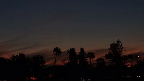 Sunset View of Tree Line in Perth Australia 4 - Langley Park Stock Footage 219593710