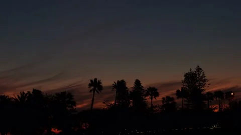 Sunset View of Tree Line in Perth Australia 5 - Langley Park Stock Footage 219593711