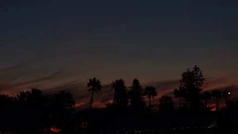 Sunset View of Tree Line in Perth Australia 6 - Langley Park Stock Footage 219593713