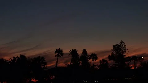 Sunset View of Tree Line in Perth Australia 7 - Langley Park Stock Footage 219593714