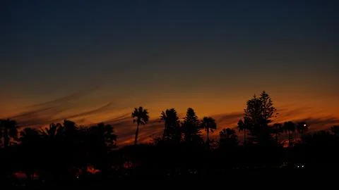 Sunset View of Tree Line in Perth Australia  - Langley Park Stock Photos