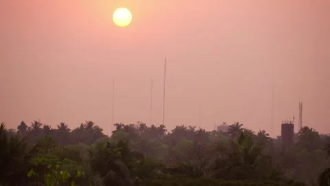 Sunset View with Trees Stock Footage 304021494