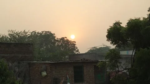 Sunset View with Trees Silhouette in Rural Area Stock Footage 321025578