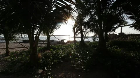 Sunset view at the tropical beach with palm trees Stock Footage 48789986