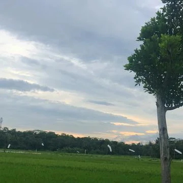 Sunset view in the village Stock Photos