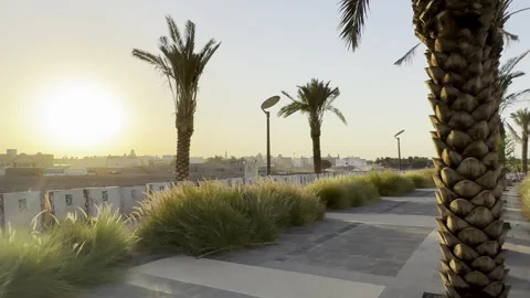Sunset View at Wadi Al Aqeeg Walkway with Palm Trees Vídeo Stock 320917334