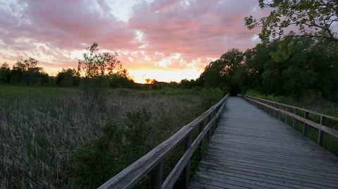 Sunset view walking on a boardwalk in nature park Stock Footage 68000599