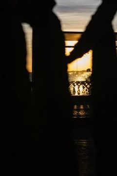 Sunset Viewed Through Tree and Glass on the Beach Stock Photos