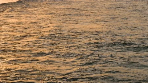 Sunset views over Snapper Rocks, Gold Coast Video stock 148371308