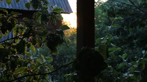 Sunset Village 2 Video stock 31643052