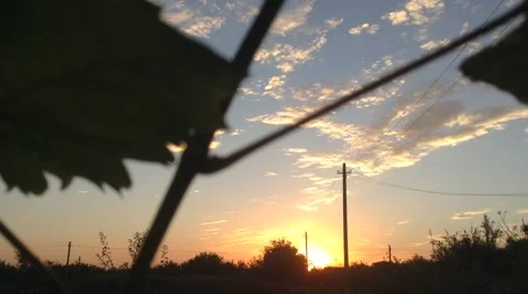 Sunset In The Village with Grape Leaf And Clouds Stock Footage 68962538