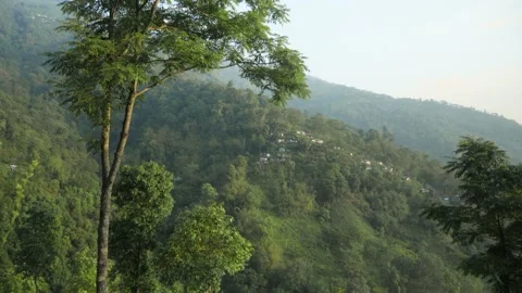Sunset on a village in the mountains surrounded by forest, in Darjeeling, India Stock Footage 194460518