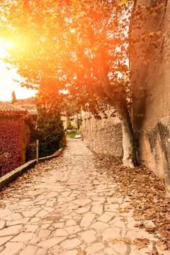 Sunset in the village. Stock Photos