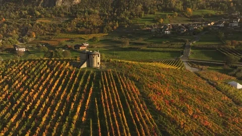 Sunset at vineyard with hilltop house 2 Stock Footage 320138963