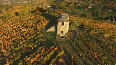 Sunset at vineyard with hilltop house 4 Stock Footage 320139146