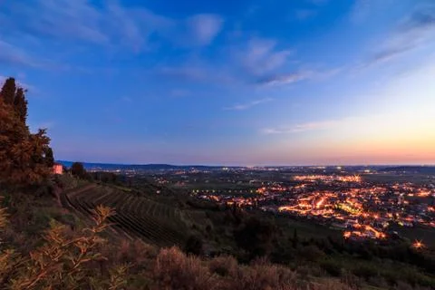 Sunset in the vineyard Stock Photos