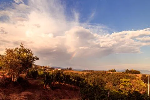 Sunset in the vineyards of Rosazzo after the storm Foto stock