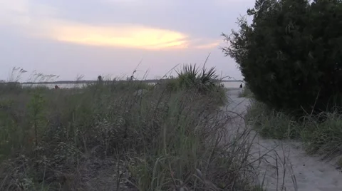 Sunset Walk to Beach Stock Footage 51801032
