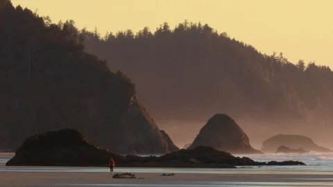 Sunset walk on Oregon Coast Stock Footage 99542567