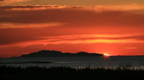 Sunset walking dog Video stock 12576765