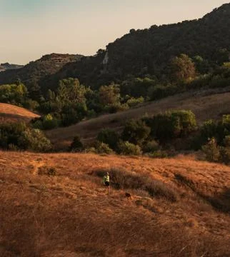 Sunset walking with a dog Stock Photos