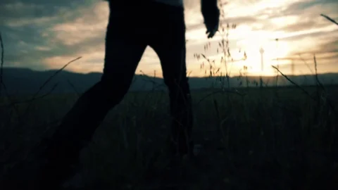 Sunset Walking Forest Stock Footage 99474664